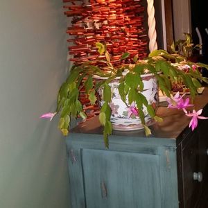 Meet your Posher, Audrey